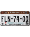 Mexikói rendszám Coahuila Dinosaurios FLN-74-00