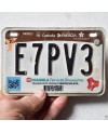 Mexikói rendszám Coahuila E7PV3 moto