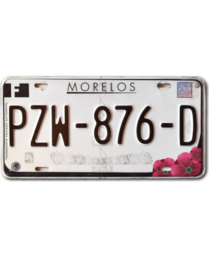 Mexikói rendszám Morelos PZW-876-D