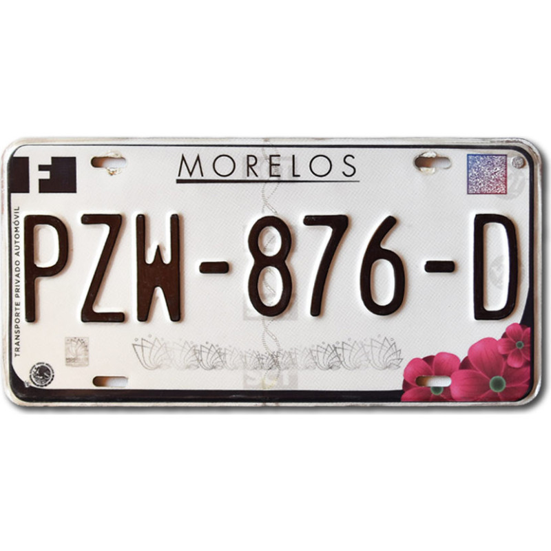 Mexikói rendszám Morelos PZW-876-D