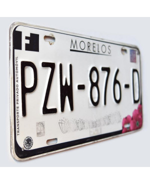 Mexikói rendszám Morelos PZW-876-D