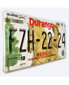 Mexikói rendszám Durango FZH-22-24