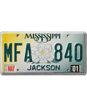 Amerikai rendszám Mississippi Magnolia