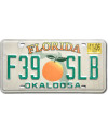 Amerikai rendszám Florida Orange
