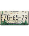 Mexikói rendszám Durango Forest FZG-65-29