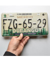 Mexikói rendszám Durango Forest FZG-65-29