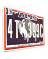 Amerikai rendszám Wyoming Black Bison