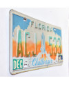 Amerikai rendszám Florida 1990 Challenger ACJ 533