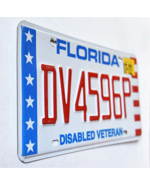Amerikai rendszám Florida Disabled Veteran DV4596P