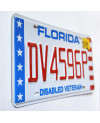 Amerikai rendszám Florida Disabled Veteran DV4596P