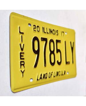 Amerikai rendszám Illinois 2017 Livery 9785LY