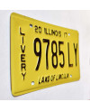 Amerikai rendszám Illinois 2017 Livery 9785LY