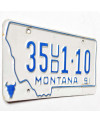 Amerikai rendszám Montana 1991 White 35UD1-10