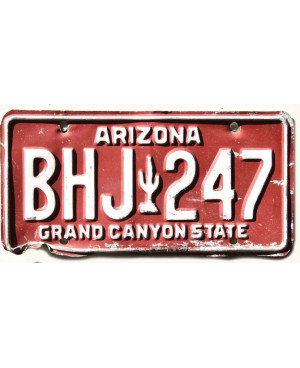 Amerikai rendszám Arizona Red Cactus BHJ 247
