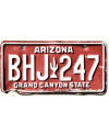 Amerikai rendszám Arizona Red Cactus BHJ 247