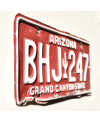 Amerikai rendszám Arizona Red Cactus BHJ 247