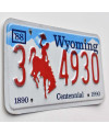 Amerikai rendszám Wyoming Bronco Centennial 3 4930
