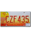 Amerikai rendszám New Mexico Balloon CZF 435