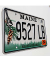 Amerikai rendszám Maine Chickadee 9527 LB