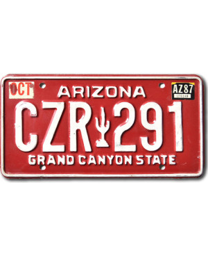Amerikai rendszám Arizona Red Cactus CZR 291