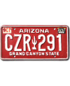 Amerikai rendszám Arizona Red Cactus CZR 291