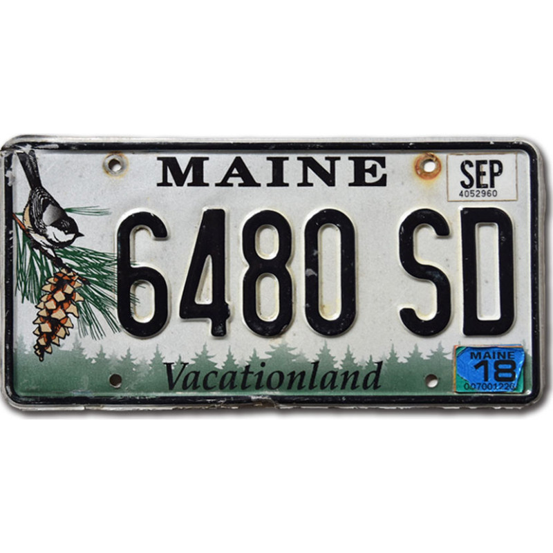 Amerikai rendszám Maine Chickadee 6480 SD