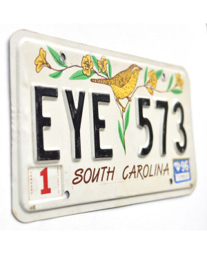 Amerikai rendszám South Carolina Bird EYE 573
