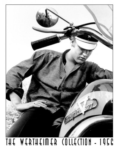 Fém tábla Elvis on Bike 40 cm x 32 cm