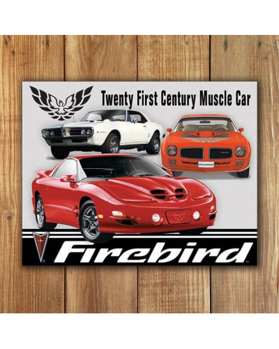 Fém tábla Pontiac Firebird Tribute 40 cm x 32 cm
