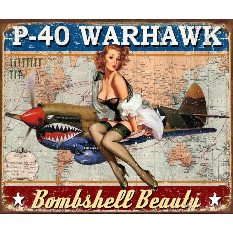 Fém tábla P-40 Warhawk 40 cm x 32 cm