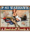 Fém tábla P-40 Warhawk 40 cm x 32 cm