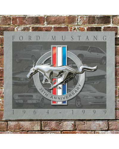 Fém tábla Mustang 35th Anniversary 32 cm x 40 cm