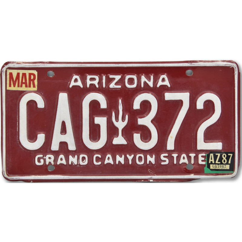 Amerikai rendszám Arizona Red Cactus CAG 372