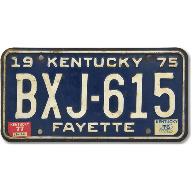 Amerikai rendszám Kentucky Fayette 1975