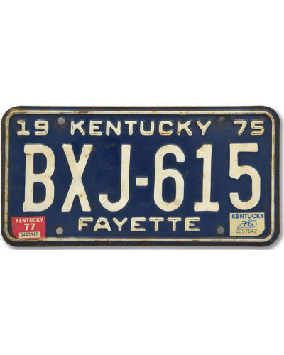 Amerikai rendszám Kentucky Fayette 1975