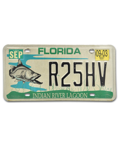 Amerikai rendszám Florida Lagoon R25HV