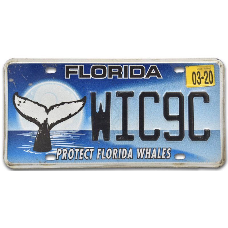Amerikai rendszám Florida Protect Whales WIC9C