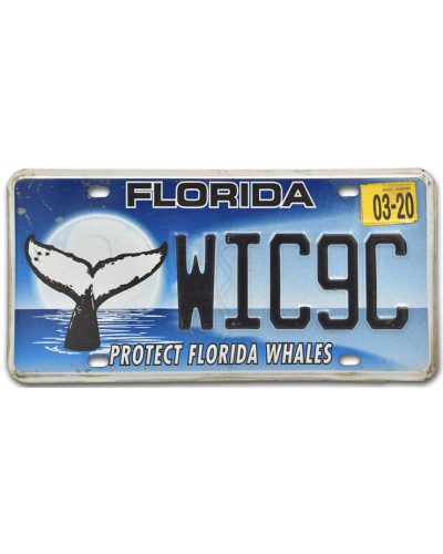 Amerikai rendszám Florida Protect Whales WIC9C