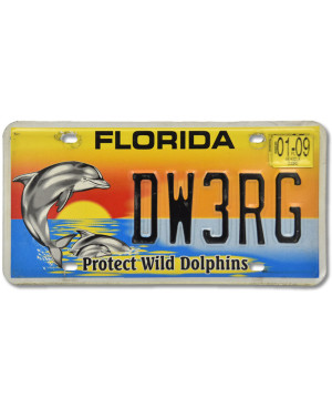 Americká SPZ Florida Protect Wild Dolphins DW3RG