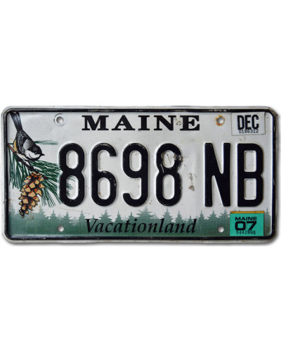 Amerikai rendszám Maine Chickadee 8698 NB