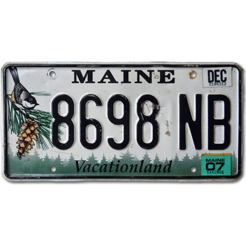 Amerikai rendszám Maine Chickadee 8698 NB