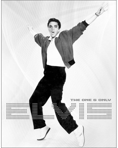 Fém tábla Elvis Presley Black and White 40 cm x 32 cm