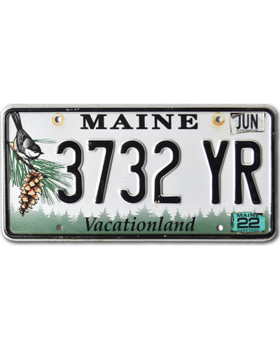 Amerikai rendszám Maine Chickadee 3732 YR