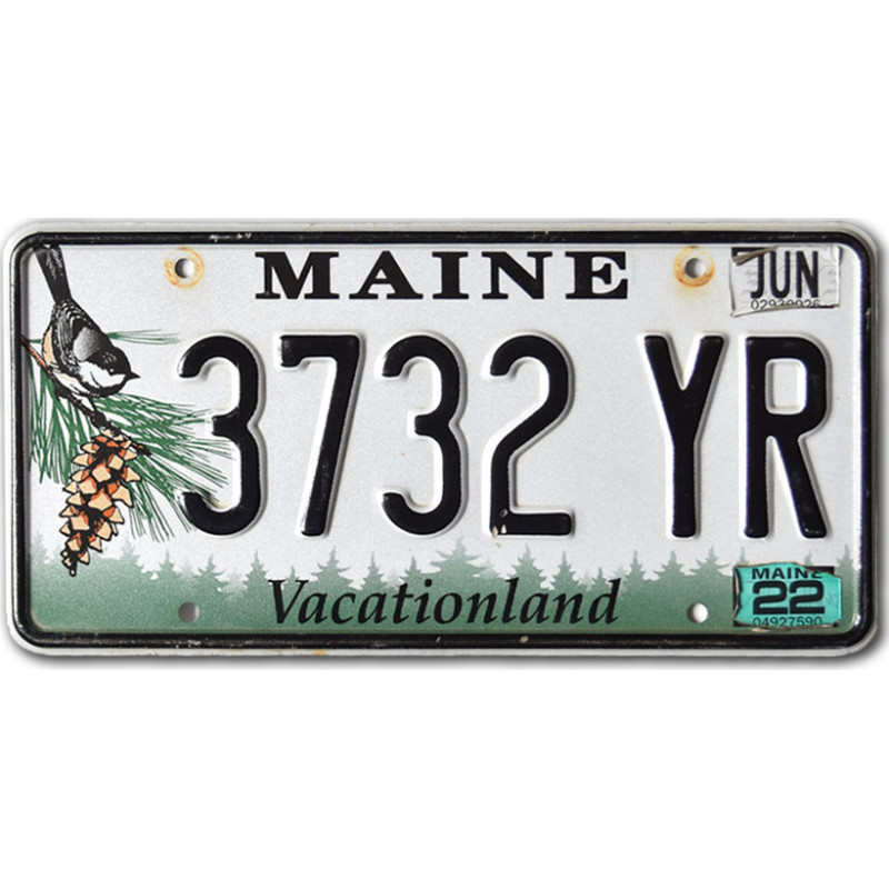 Amerikai rendszám Maine Chickadee 3732 YR