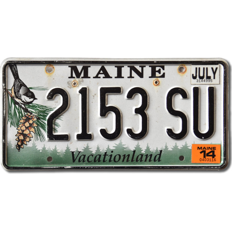 Amerikai rendszám Maine Chickadee 2153 SU