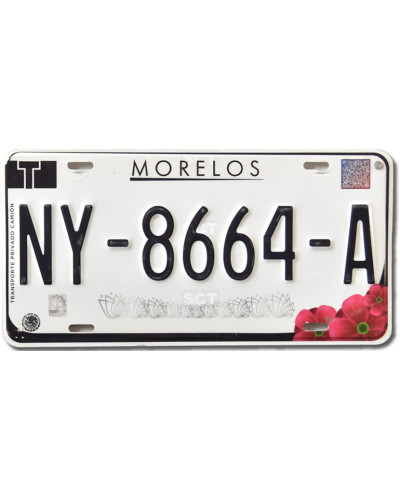 Mexikói rendszám Morelos NY-8664-A