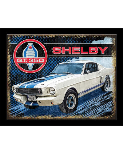 Fém tábla Shelby Cobra GT 350 white 40 cm x 32 cm